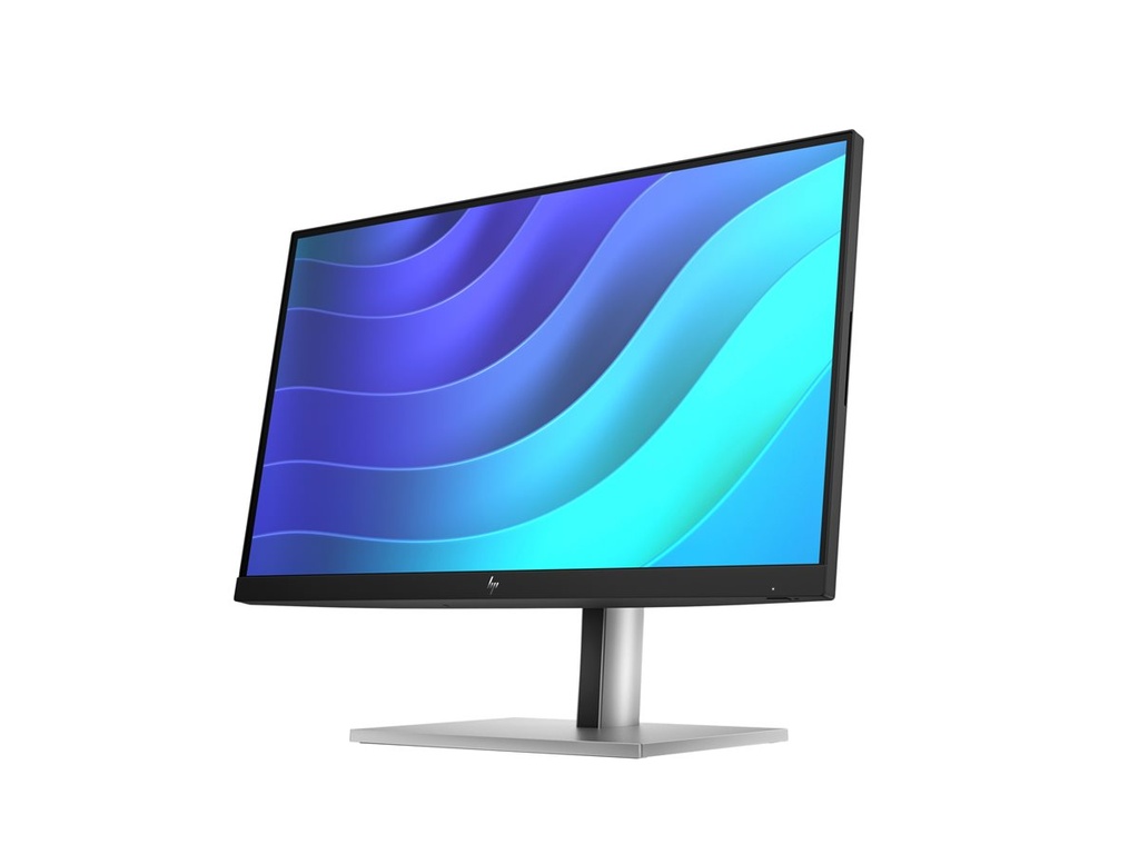 HP E22 G5 FHD Monitor
