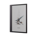 Boox Note Air6 C
