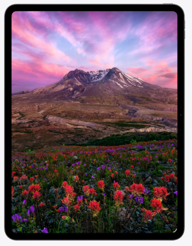 Apple iPad Pro M5 - Wi-Fi